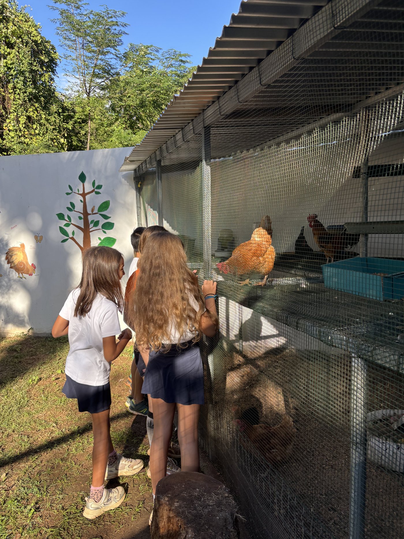 Educational henhouse